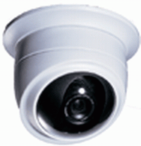 �����Ͳ�ɫ�z��C